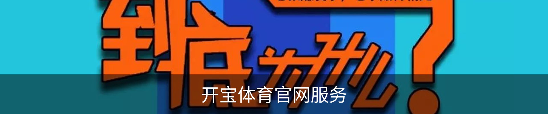 开宝体育官网服务